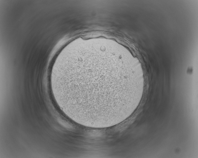 X0000116770102201001281641