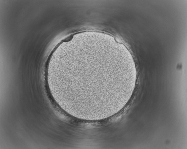 X0000116770103201001281641