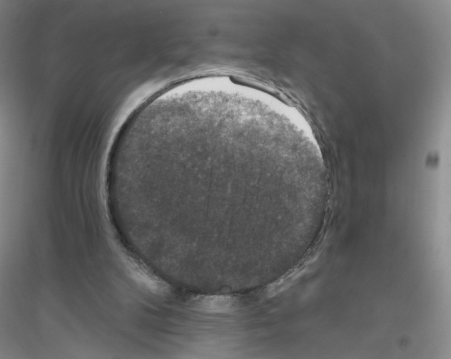 X0000116770104201001281641