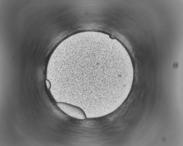 X0000116770105201001281641