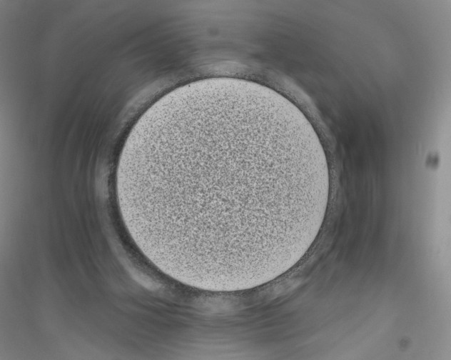 X0000116770106201001281641
