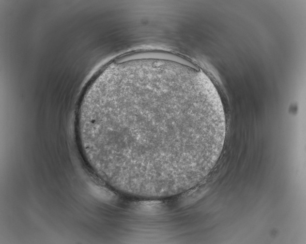 X0000116770108201001281641