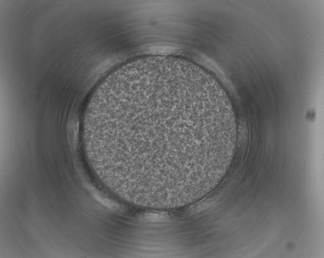 X0000116770110201001281641