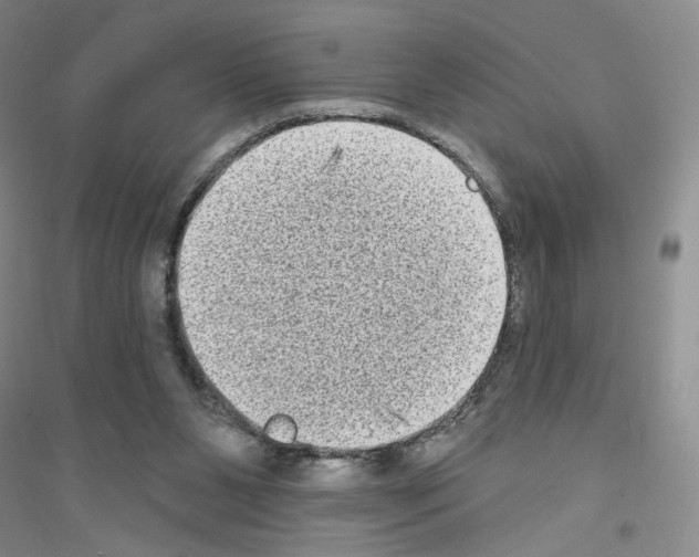 X0000116770111201001281641