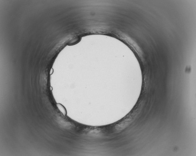 X0000116770113201001281641