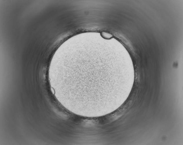 X0000116770115201001281641