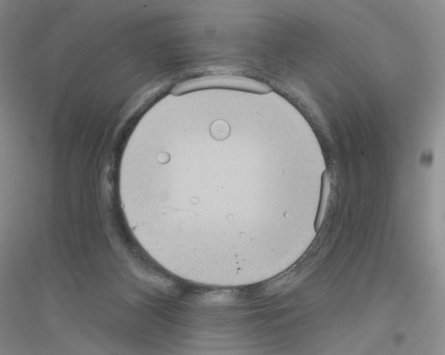 X0000116770116201001281641