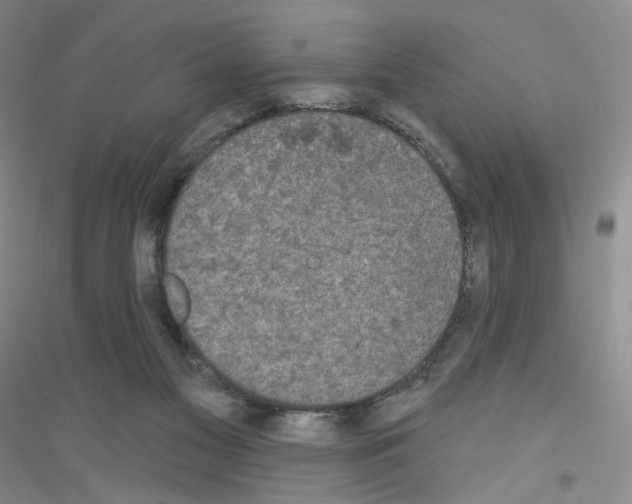 X0000116770117201001281641