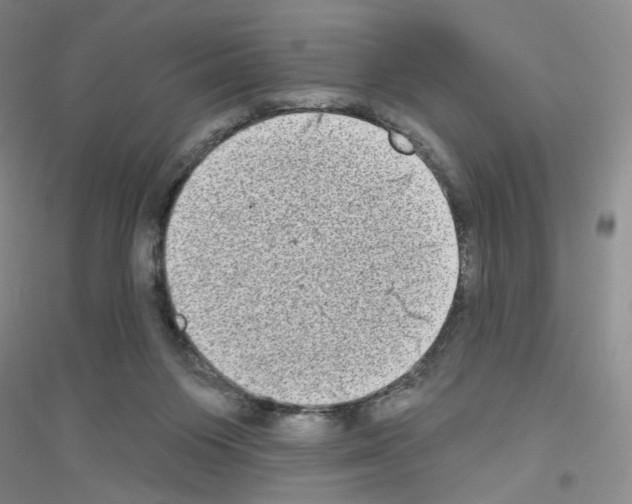 X0000116770119201001281641