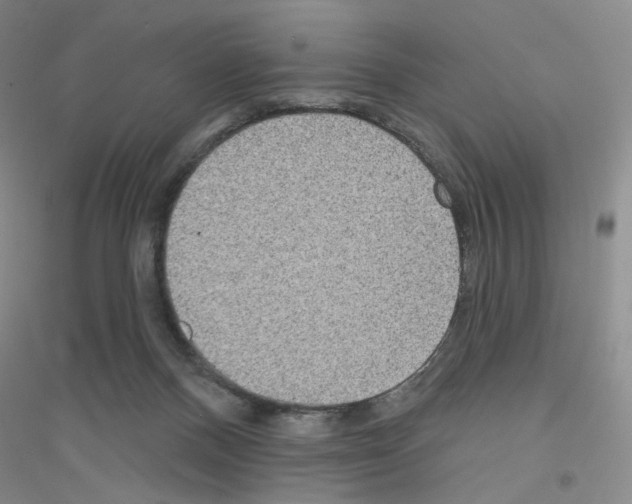X0000116770120201001281641