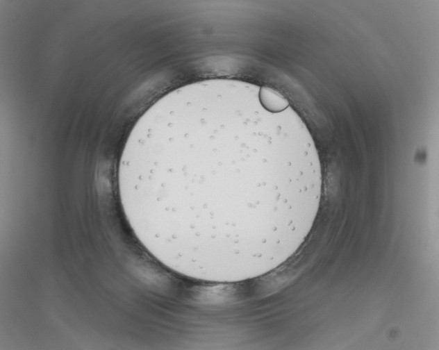 X0000116770122201001281641