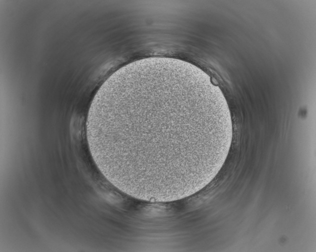 X0000116770123201001281641