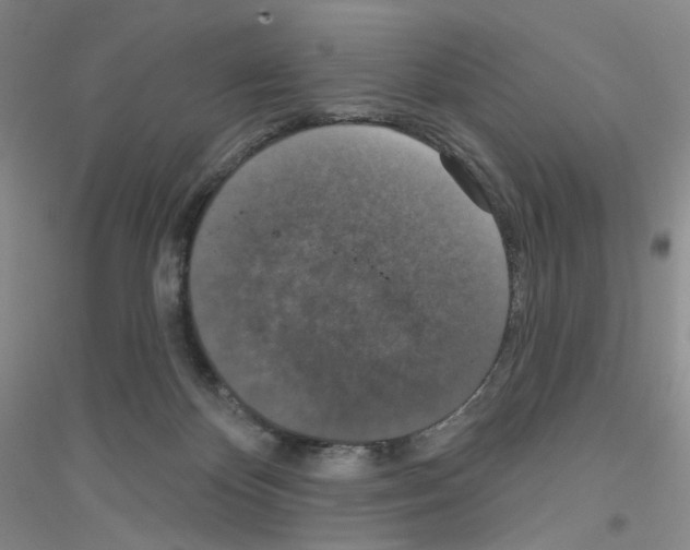 X0000116770124201001281641