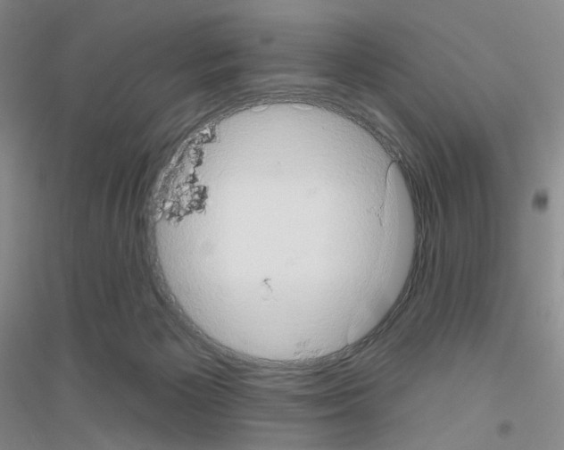 X0000116770125201001281641