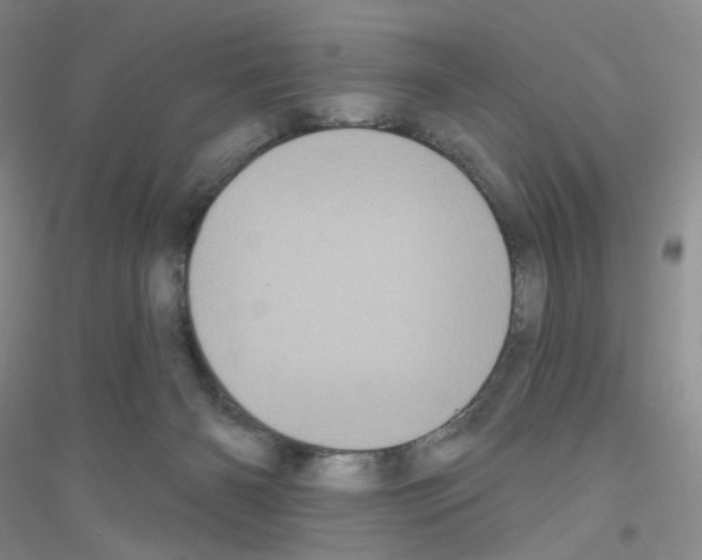 X0000116770126201001281641