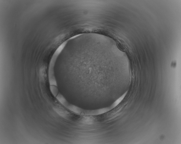X0000116770127201001281641