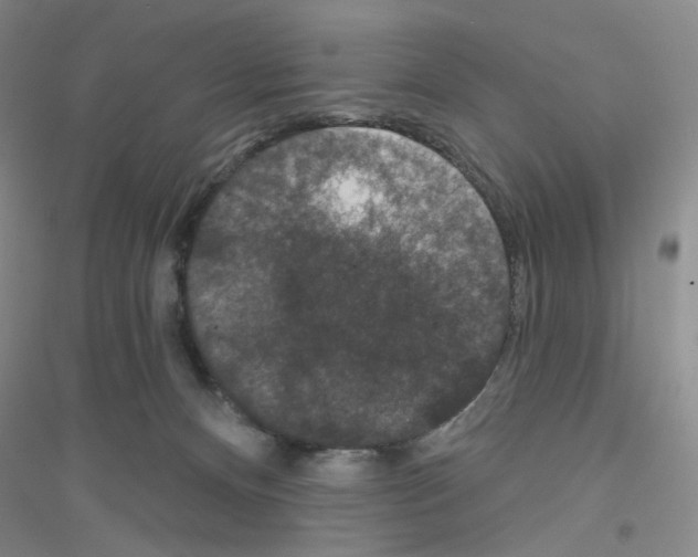 X0000116770128201001281641