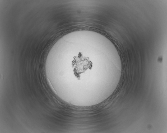 X0000116770129201001281641