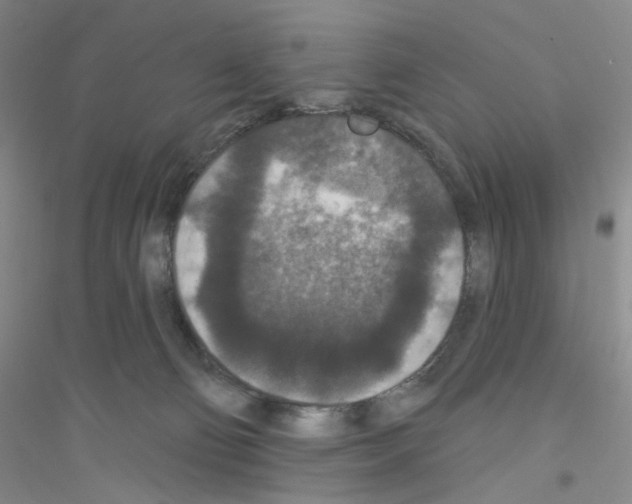 X0000116770130201001281641