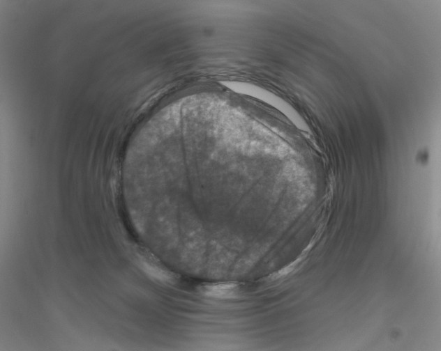 X0000116770132201001281641