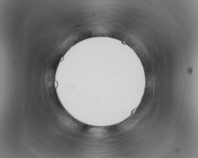 X0000116770133201001281641