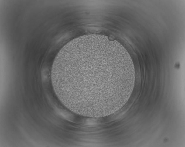 X0000116770134201001281641