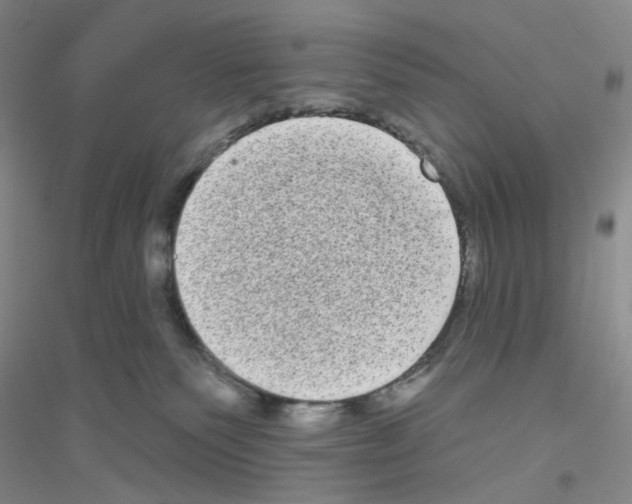 X0000116770135201001281641