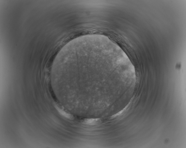 X0000116770136201001281641