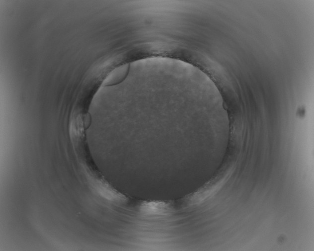 X0000116770137201001281641