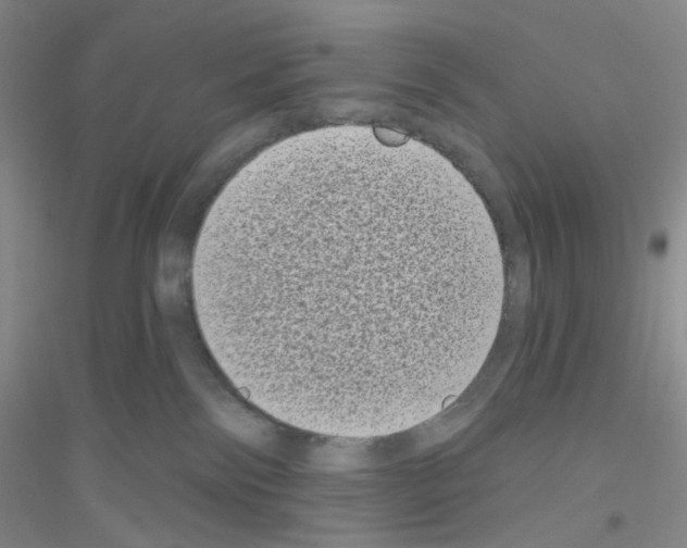 X0000116770138201001281641