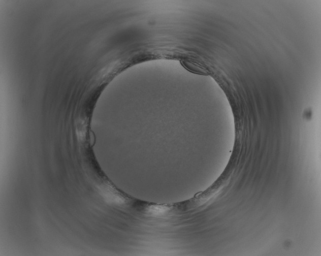 X0000116770139201001281641