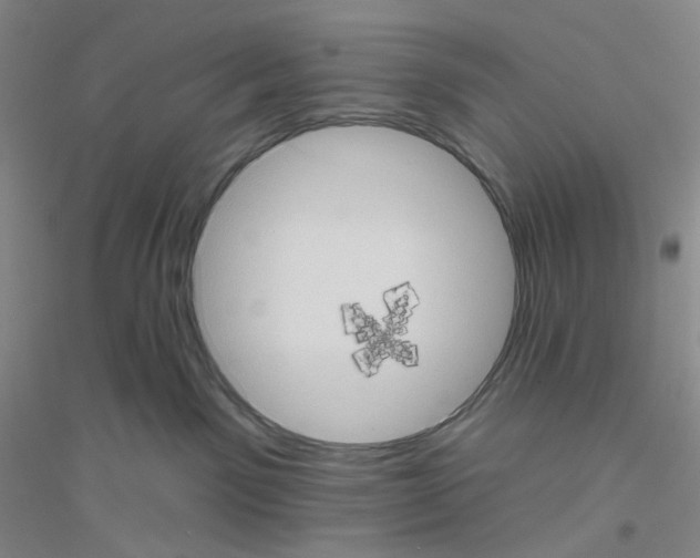X0000116770141201001281641