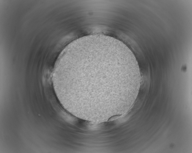 X0000116770142201001281641