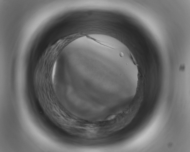 X0000116770143201001281641