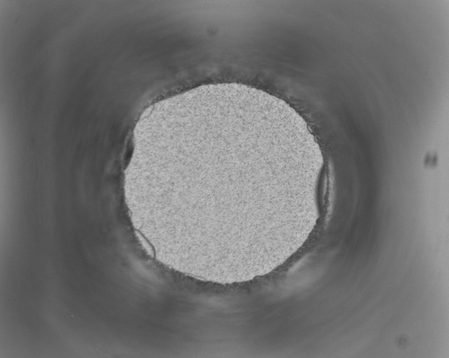 X0000116770144201001281641
