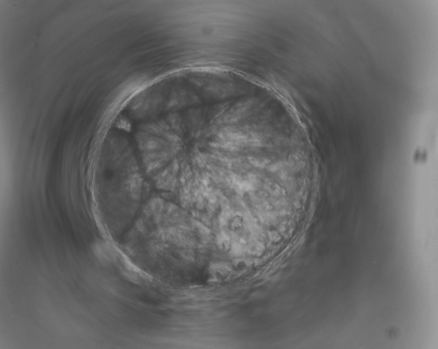 X0000116770145201001281640