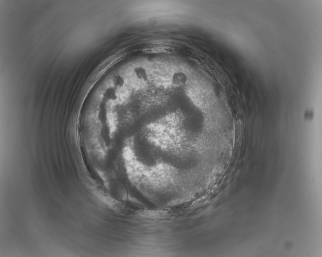 X0000116770147201001281640