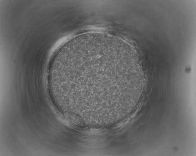 X0000116770149201001281640
