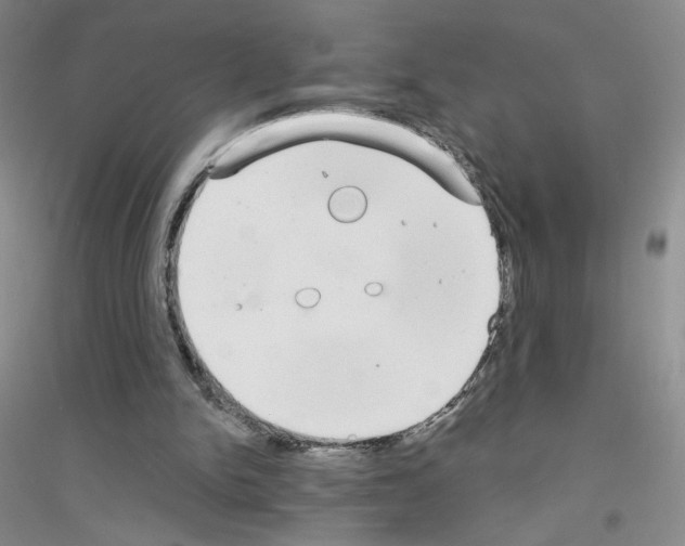 X0000116770150201001281640