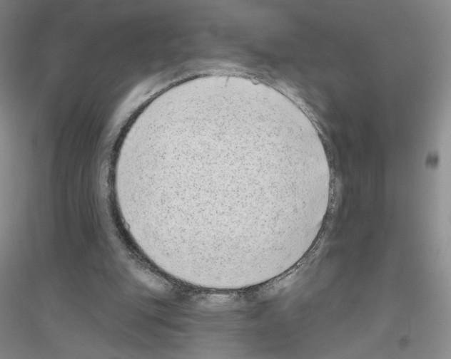 X0000116770151201001281640