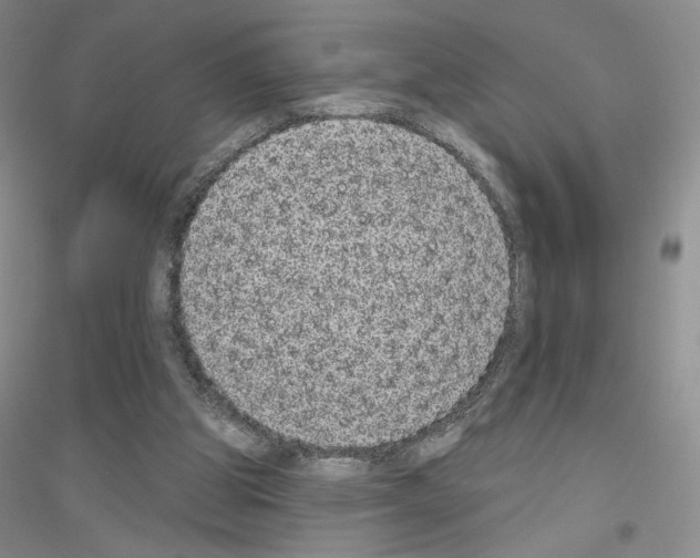 X0000116770153201001281640