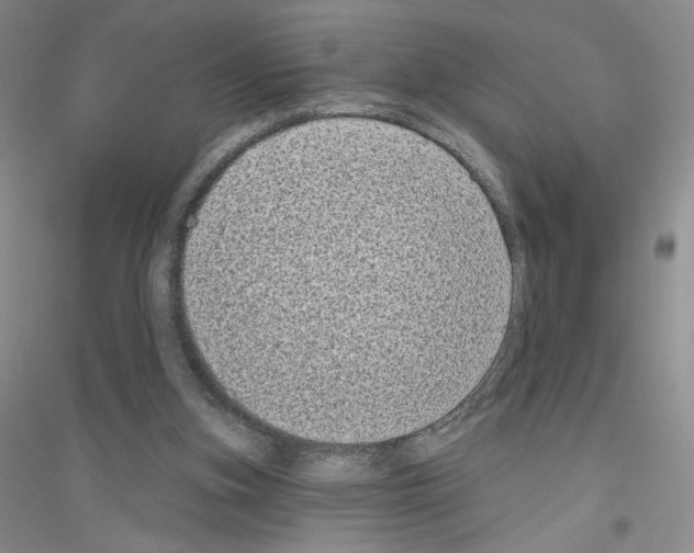 X0000116770155201001281640
