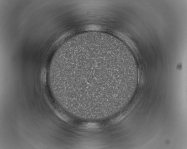 X0000116770157201001281640