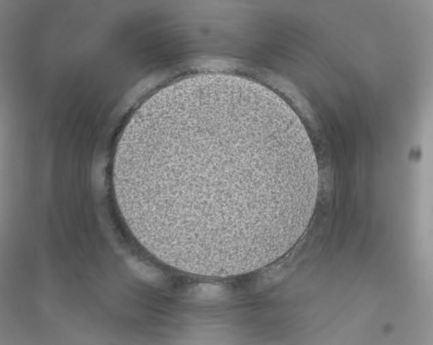 X0000116770159201001281640