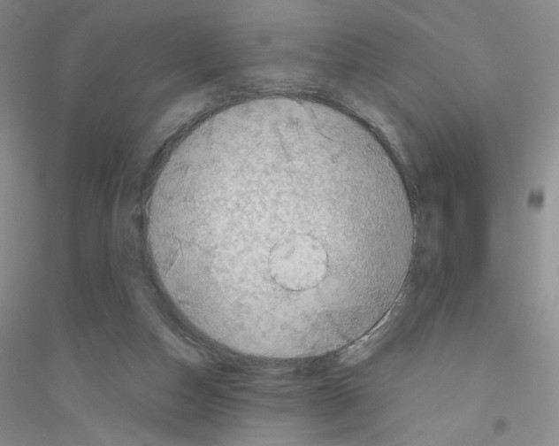 X0000116770162201001281640