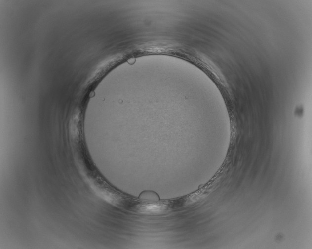 X0000116770163201001281640