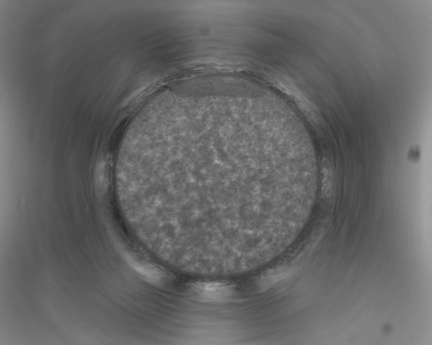 X0000116770165201001281640