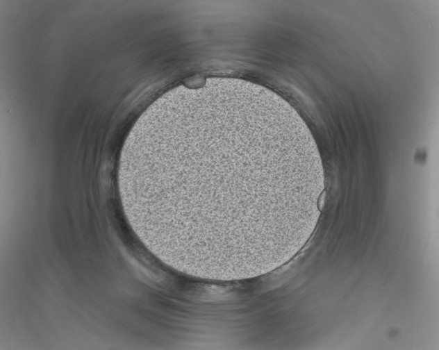 X0000116770166201001281640