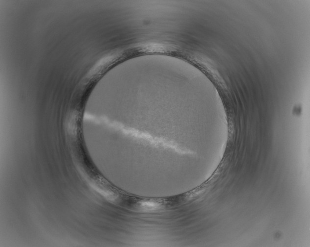 X0000116770167201001281640