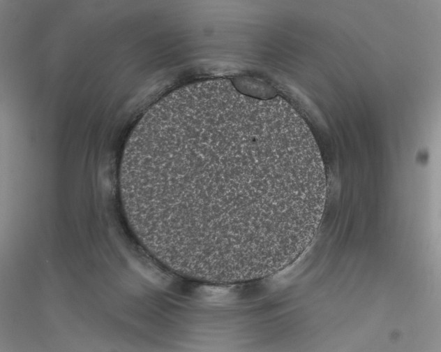 X0000116770170201001281640